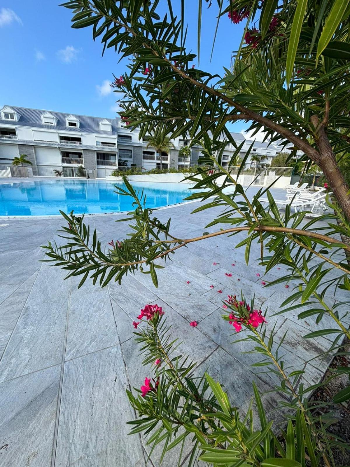 Easy Friendly Sxm Daire Cul de Sac Dış mekan fotoğraf